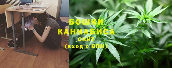 каннабис Новодвинск