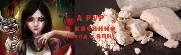 гашик Болотное